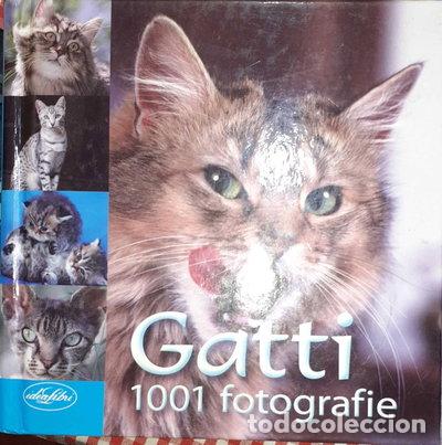 Libros: Gatti: 1001 fotografie- 9788862620871