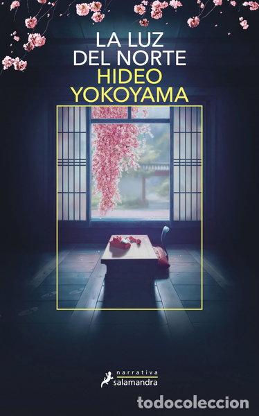 Libros: La luz del norte- 9788419456427
