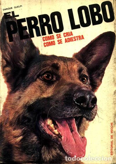 Libros: El perro lobo- 9788431530105