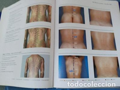 Libros: Atlas Gr&aacute;fico de Acupuntura Seirin- 9783829029995