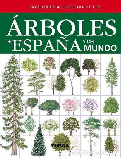 B&uuml;cher: &Aacute;rboles de Espa&ntilde;a y del mundo- 9788499281841