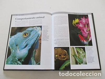 Libros: Macrofotograf&iacute;a- 9788428212946