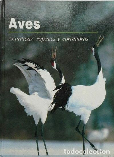 Livros em segunda m&atilde;o: Aves acu&aacute;ticas, rapaces y corredoras- 9788475832296