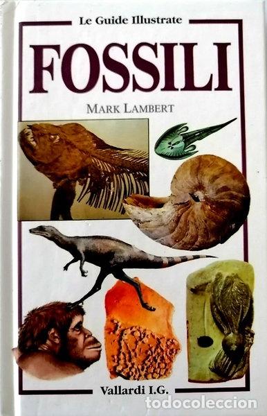 Libros: I fossili- 9788876960475 - Foto 1