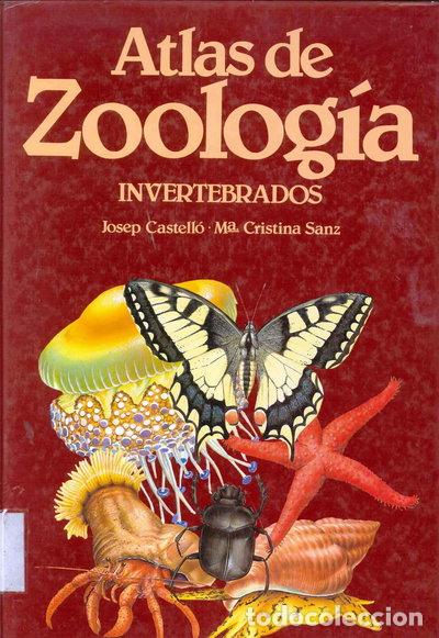 Libros: Atlas de Zoolog&iacute;a Invertebrados- 9788478100361