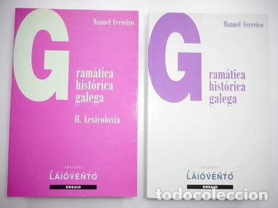 Libros: Gram&aacute;tica hist&oacute;rica galega- 9788487847677 - Foto 1