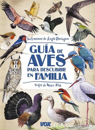 Libri di seconda mano: Gu&iacute;a de aves para descubrir en familia- 9788499740867