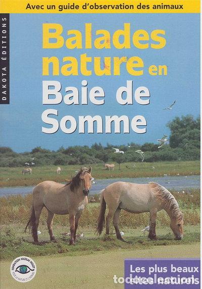 Libri di seconda mano: Balades nature en Baie de Somme- 9782910932732