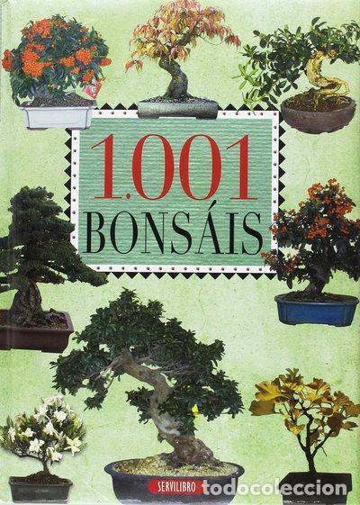 B&uuml;cher: 1.001 Bons&aacute;is- 9788479718107