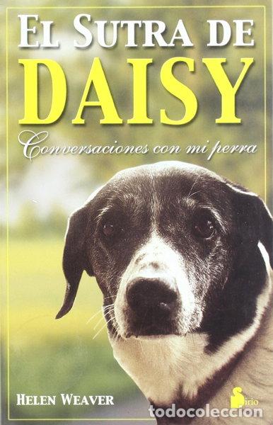 B&uuml;cher: El sutra de Daisy- 9788478084241