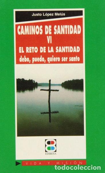 Libros: Caminos de santidad VI- 9788484072218