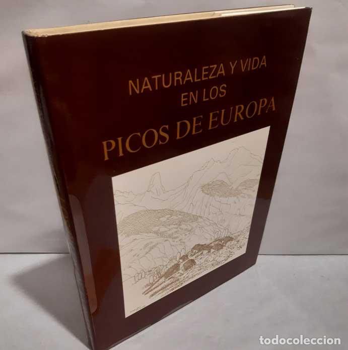 Livres: NATURALEZA Y VIDA DE LOS PICOS DE EUROPA - ARG&Uuml;ELLES Y OTROS. INCAFO 1981