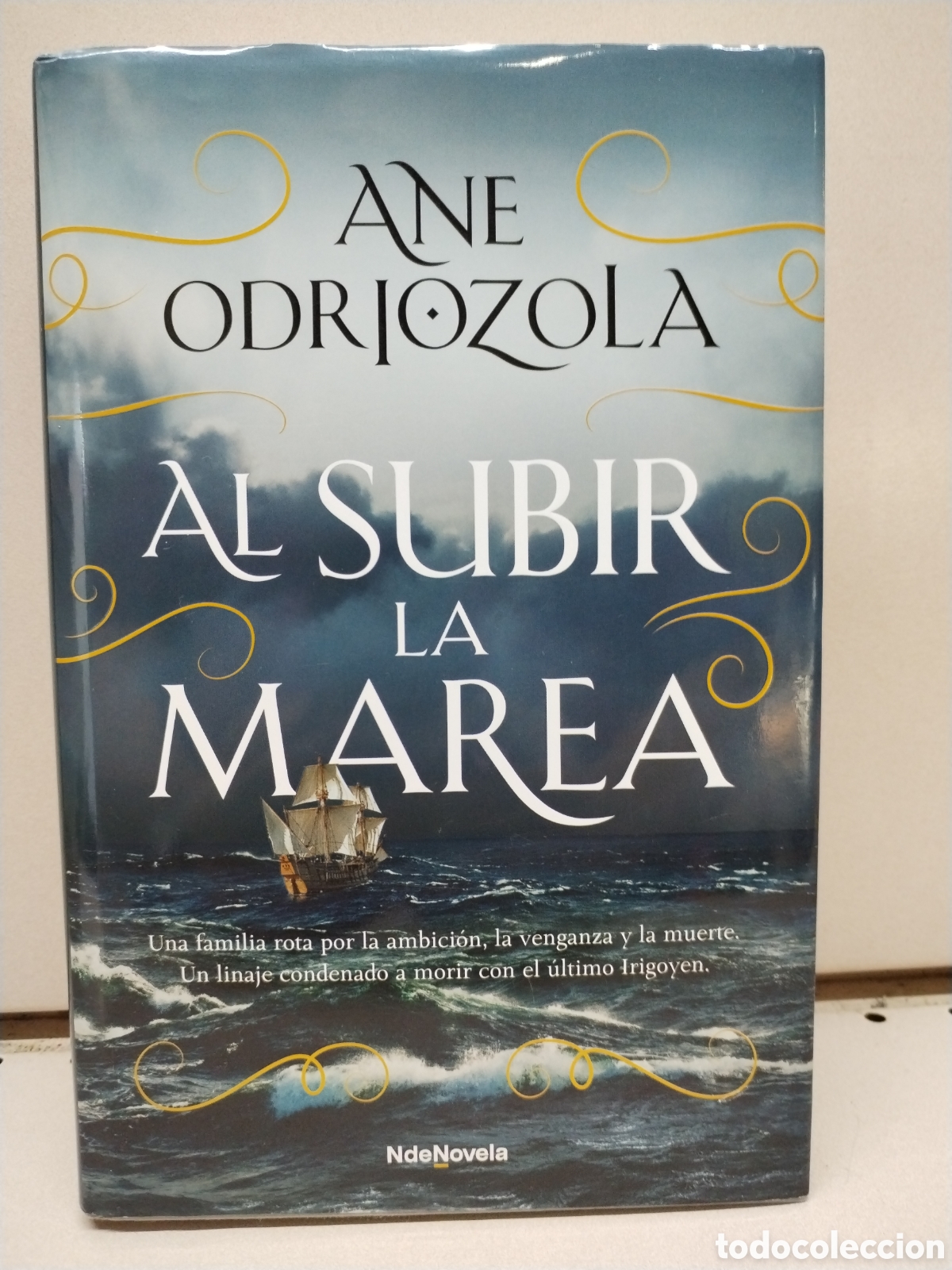 Al subir la marea - Odriozola, Ane
