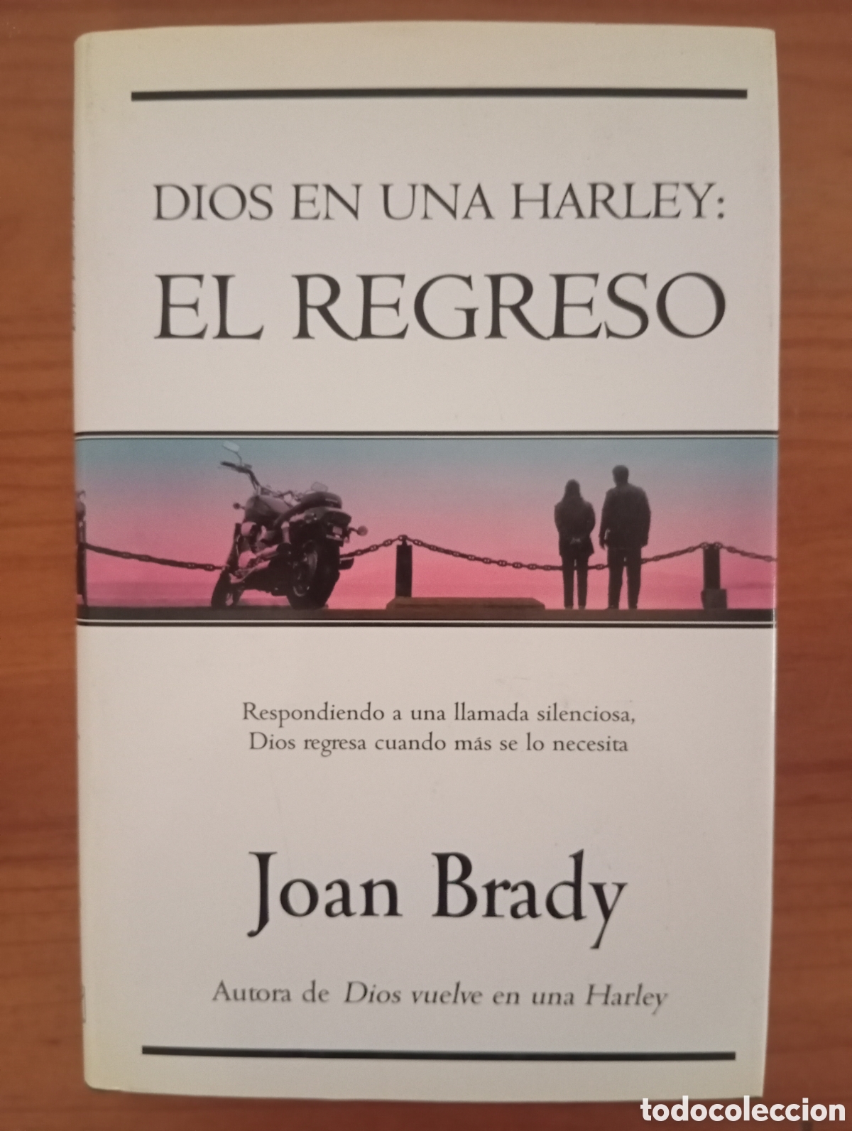 Libros: DIOS EN UNA HARLEY EL REGRESO - JOAN BRADY