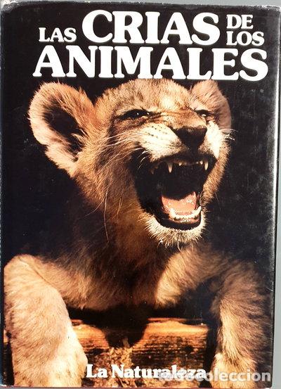 books: Las cr&iacute;as de los animales- 9788485278121