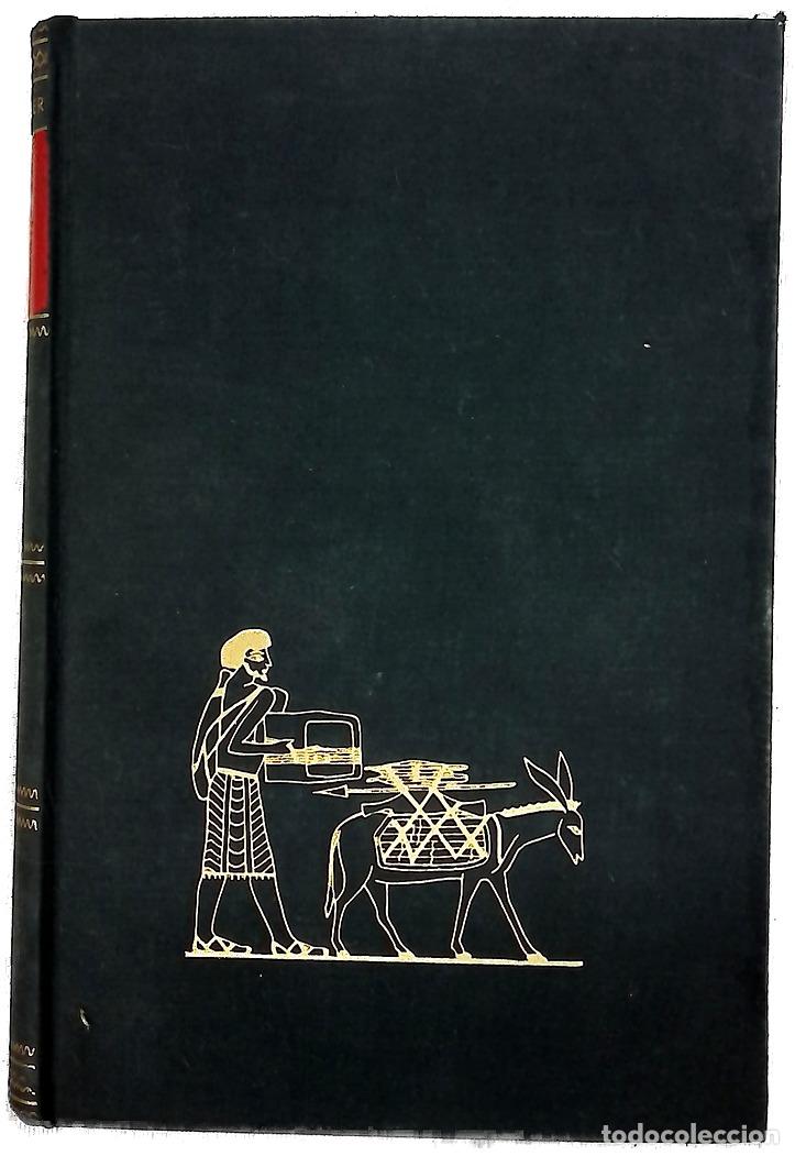 Libros: Y la Biblia ten&iacute;a raz&oacute;n : la verdad hist&oacute;rica comprobada por las investigaciones arqueol&oacute;gicas
