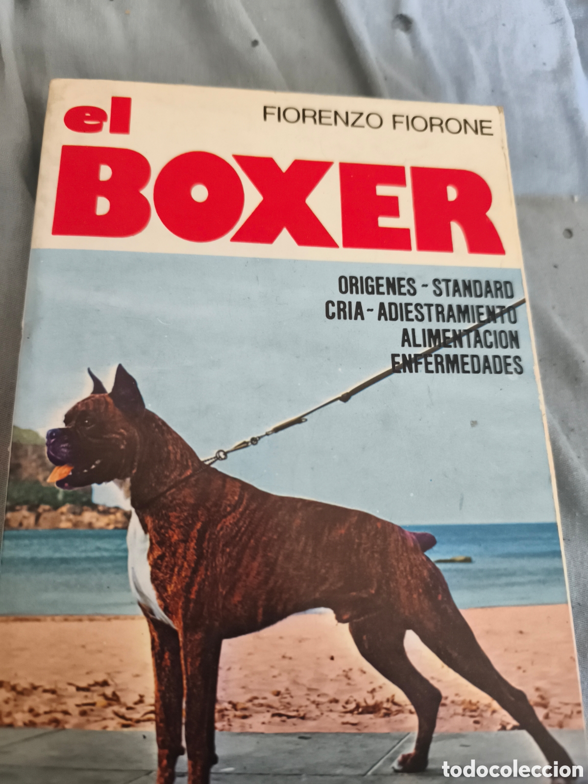 Libros: EL BOXER - FIORENZO FIORONE - OR&Iacute;GENES, STANDARD, CR&Iacute;A, ADISTRAMIENTO, ALIMENTACI&Oacute;N. VECCHI /