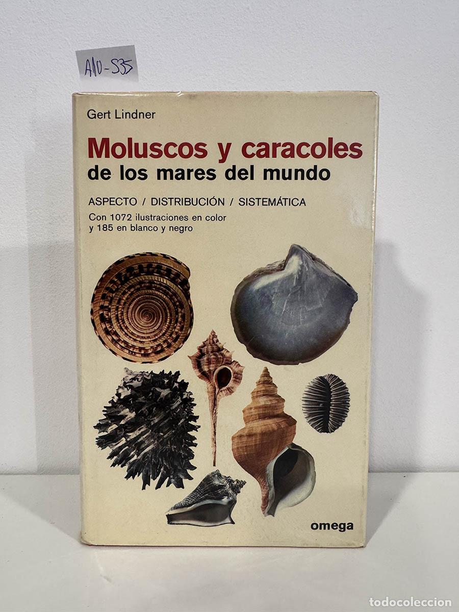Libros: LINDNER, Gert. - Moluscos y caracoles de los mares del mundo. Aspecto / Distribuci&oacute;n / Sistem&aacute;tica.