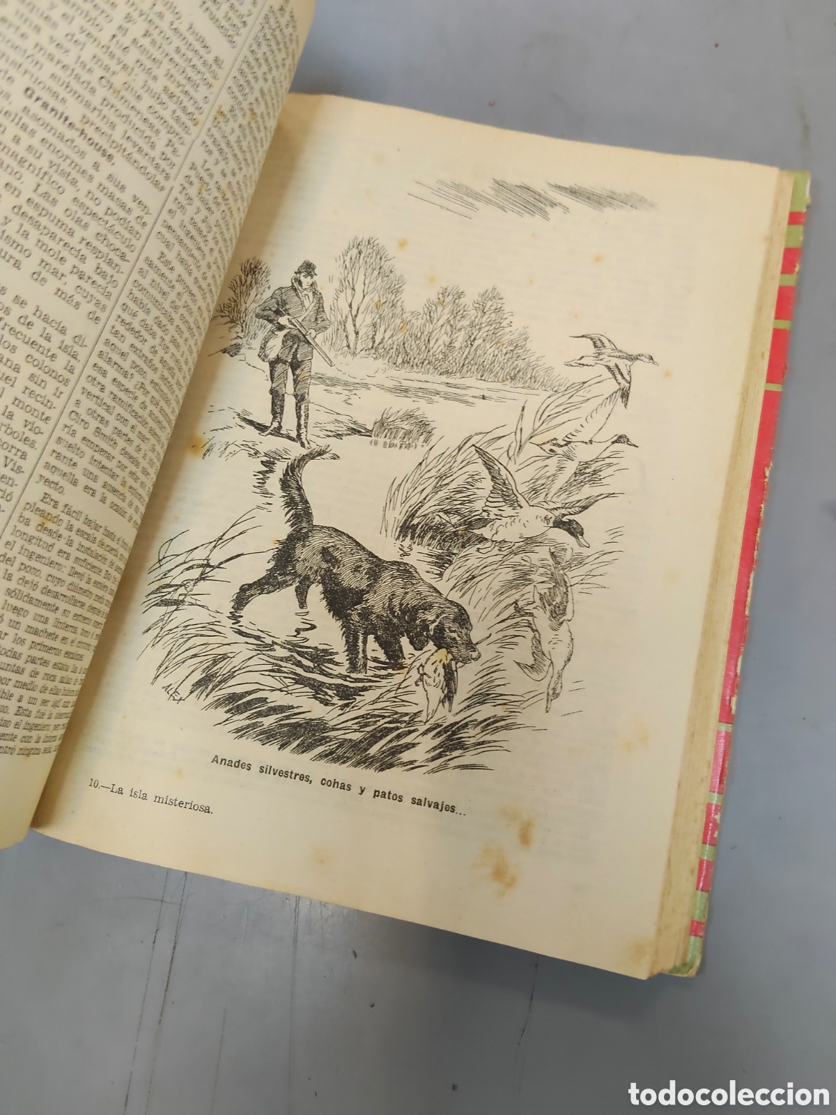Libros: La isla misteriosa JULIO Verne 1954 - Foto 4