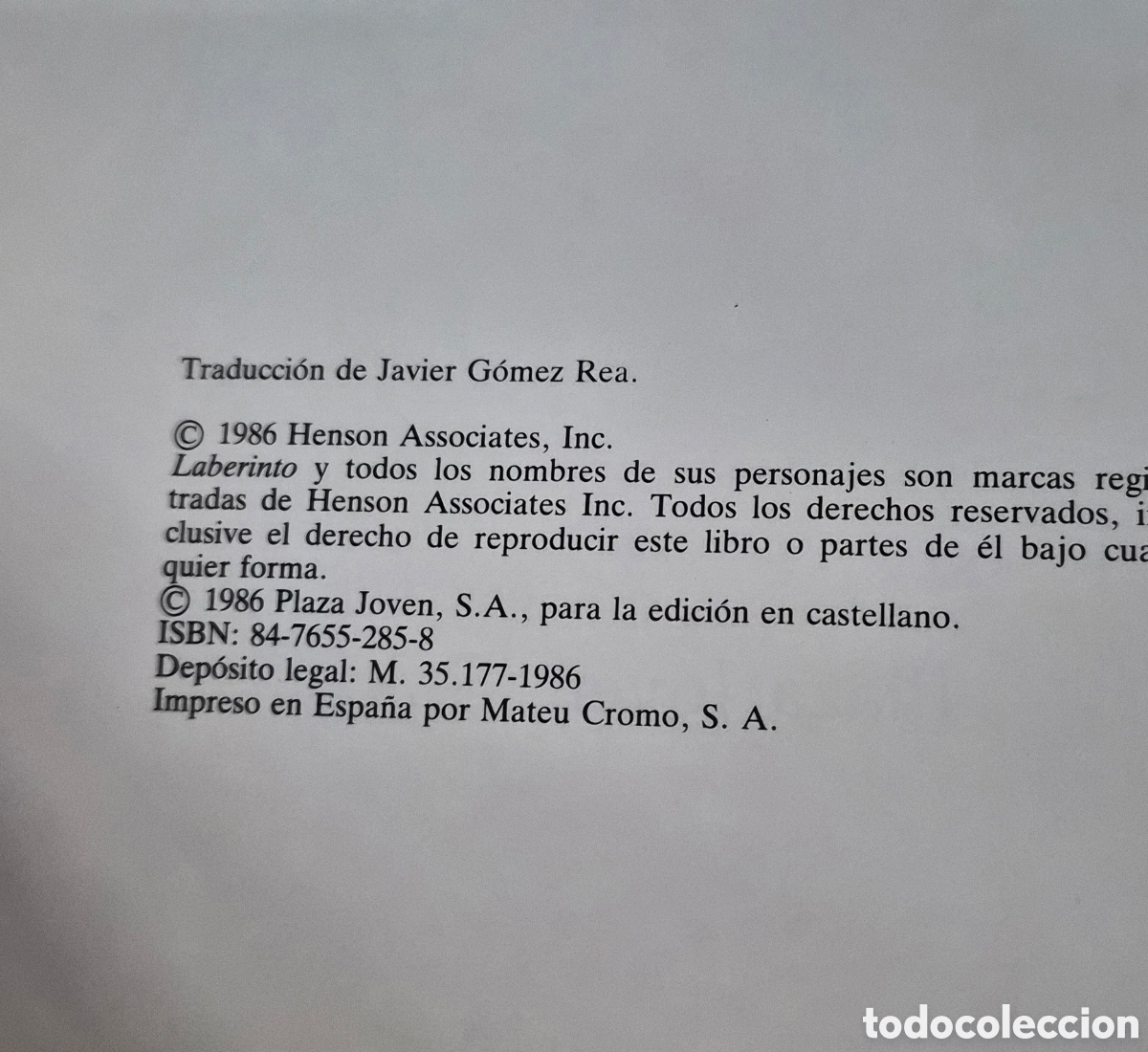 Libros: LOS GOBLINS DEL LABERINTO.- BRIAN FROUD & TERRY JONES - Foto 3
