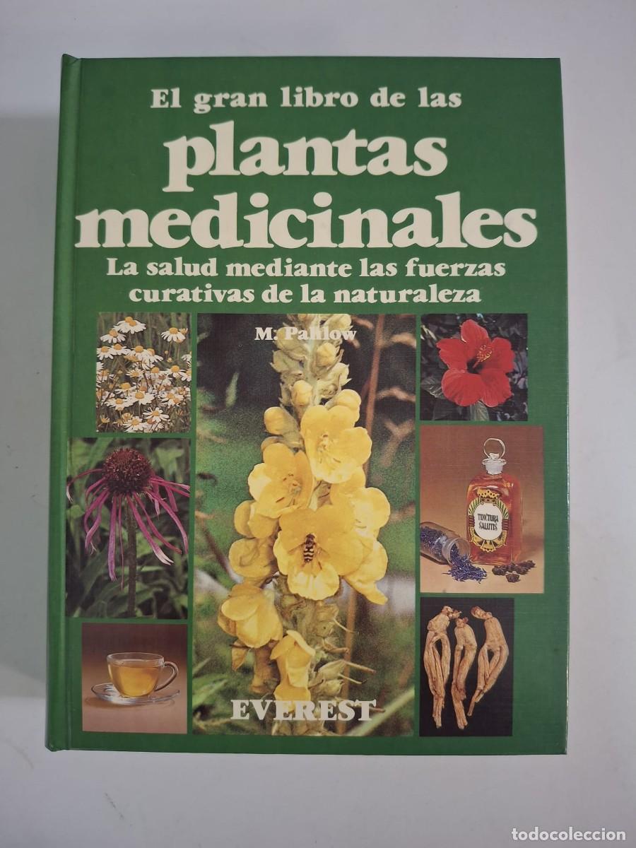 B&uuml;cher: LIBRO EL GRAN LIBRO DE LAS PLANTAS MEDICINALES EVEREST