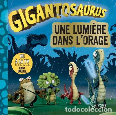 Libros: Une lumi&egrave;re dans lorage- 9782036020986 - Foto 1