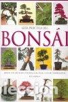 Livres: Gu&iacute;a pr&aacute;ctica del bons&aacute;i- 9788466215305