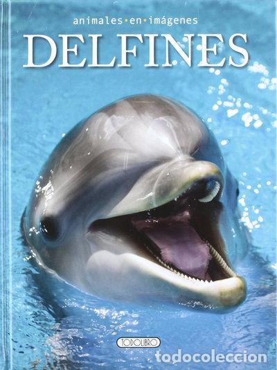 Libros: Delfines- 9788499135380 - Foto 1