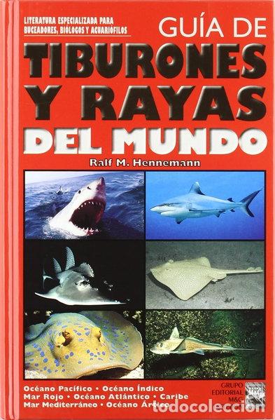 B&uuml;cher: Gu&iacute;a de tiburones y rayas del mundo- 9788495223104