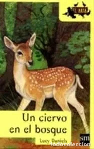 Libros: Un ciervo en el bosque- 9788434873674