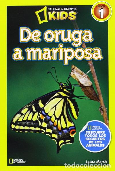 Libros: De oruga a mariposa- 9788482985619 - Foto 1