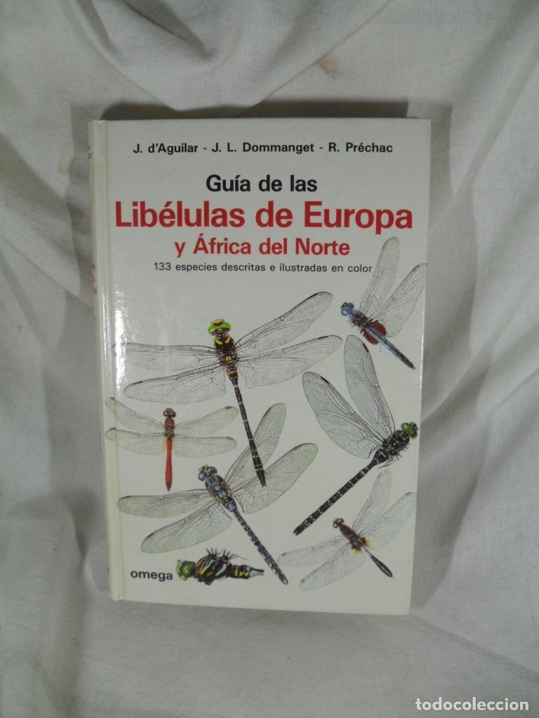 Libri di seconda mano: LIBELULAS DE EUROPA Y AFRICA DEL NORTE - J D&Aacute;GUILAR - J L DOMMANGENT - R PRECHAC
