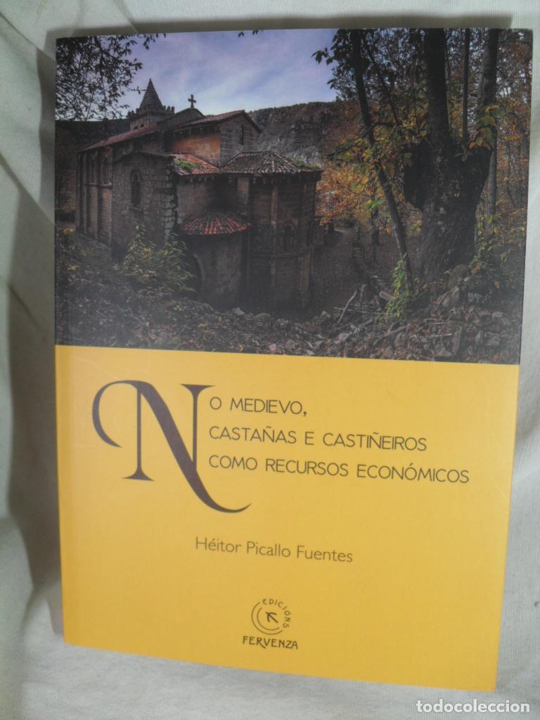 Libri di seconda mano: NO MEDIEVO CASTA&Ntilde;AS E CASTI&Ntilde;EIROSCOMO RECURSOS ECONOMICOS - HEITOR PICALLO FUENTES