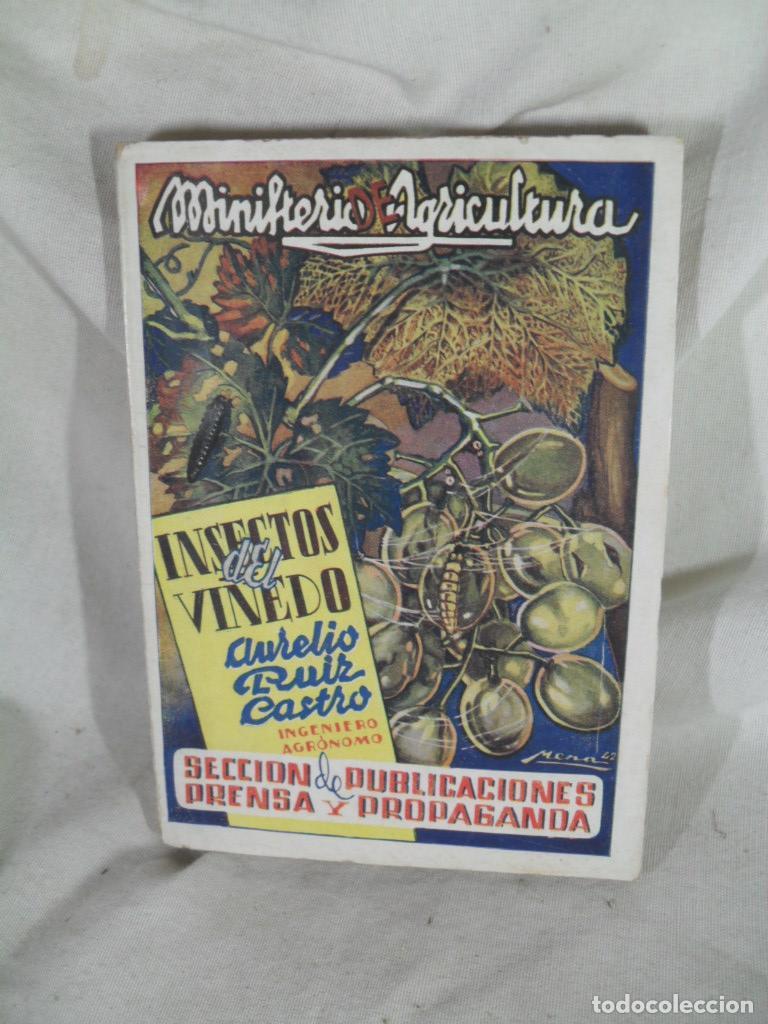 Libros: INSECTOS DEL VI&Ntilde;EDO - AURELIO RUIZ CASTRO