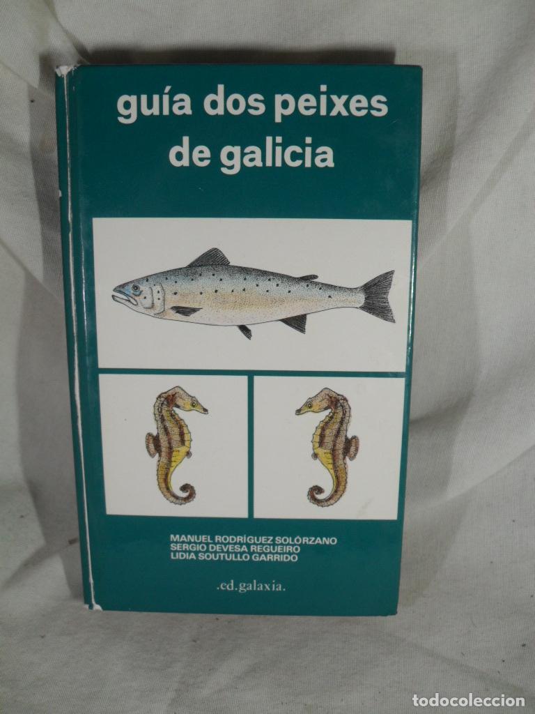 Libros: GUIA DOS PEIXES DE GALICIA - RODRIGUEZ- DEVESA- SOUTULLO