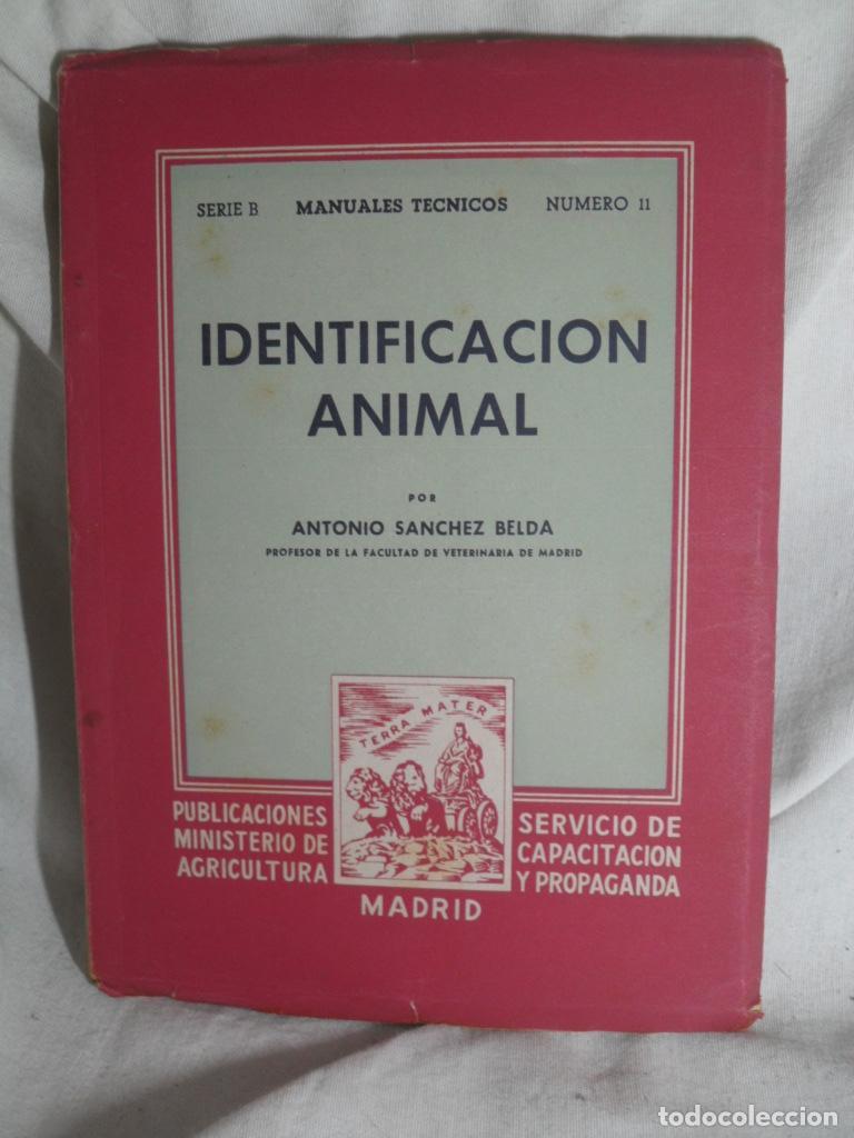 Libros: IDENTIFICACION ANIMAL - ANTONIO SANCHEZ BELDA