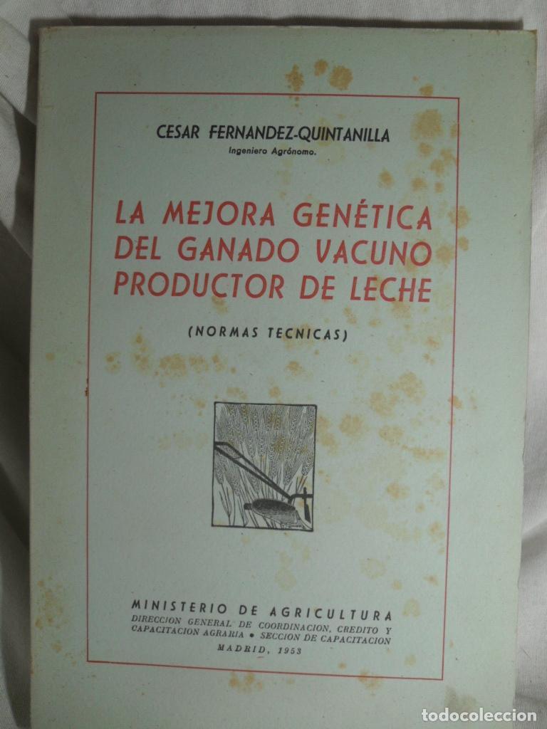 Libros: LA MEJORA GENETICA DEL GANADO VACUNO PRODUCTOR DE LECHE - VESAR FERNANDEZ QUINTANILLA