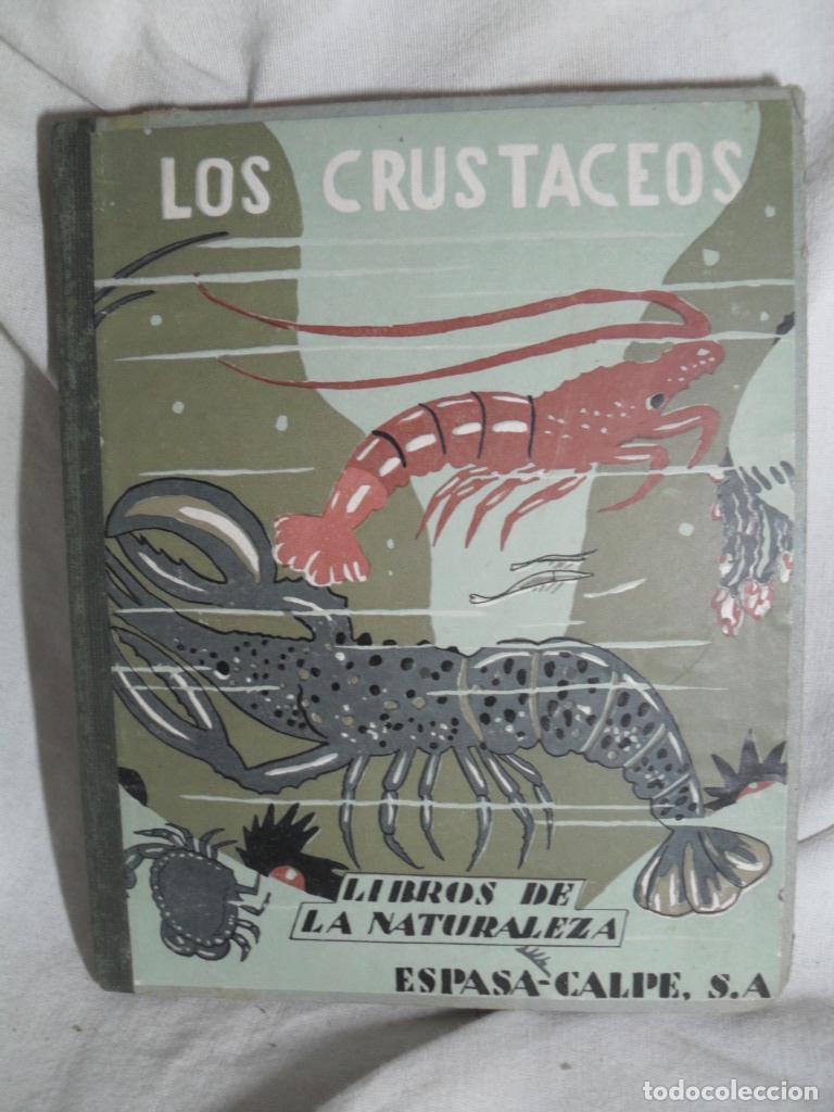 Libros: LOS CRUSTACEOS - JOSEFA MARTI DE TORTAJADA - Foto 1