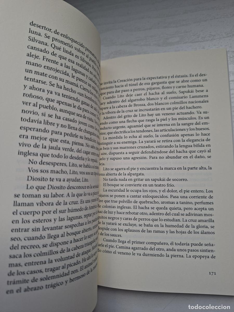 Libros: Sapuk&aacute;i - Roz, Guillermo - Foto 6