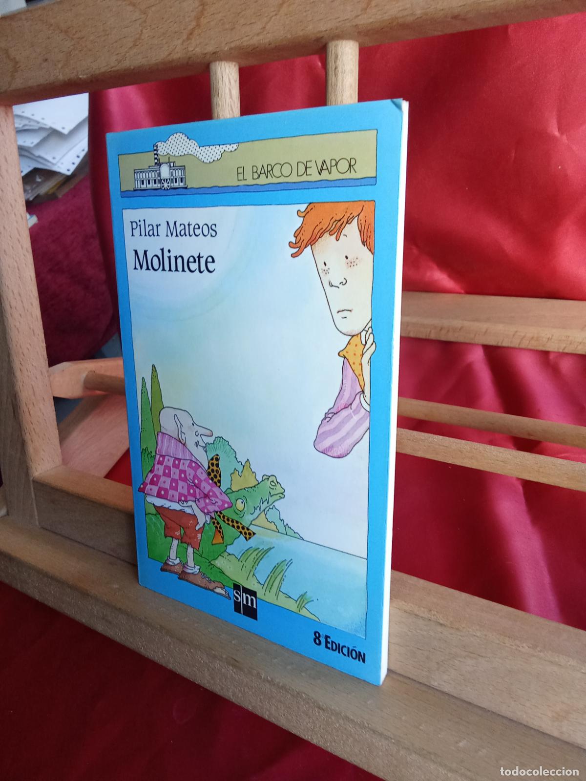 Libros: Molinete. Pilar Mateos L.8760-1551 - Foto 2