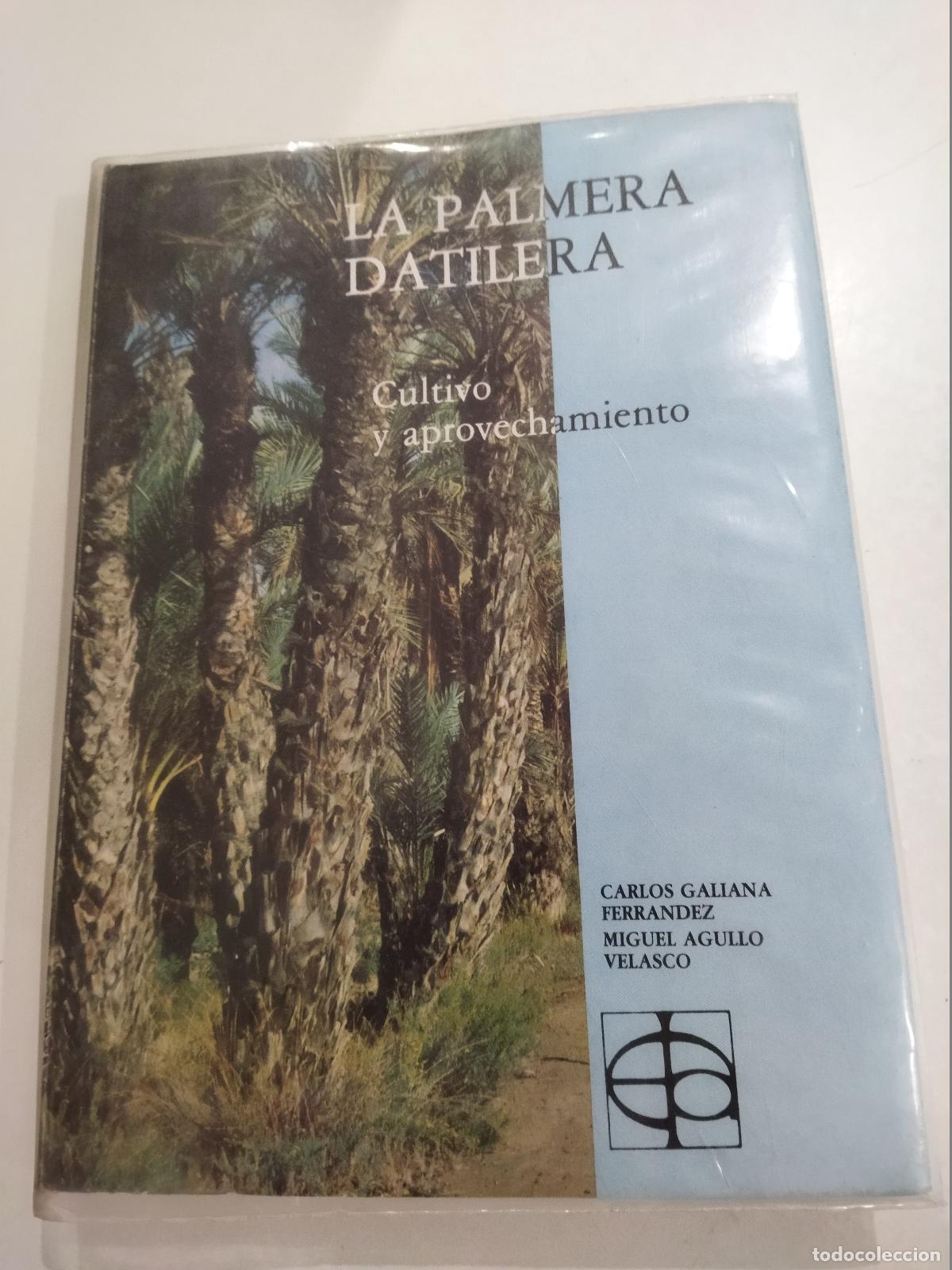 books: LA PALMERA DATILERA - GALIANA FERRANDEZ, CARLOS