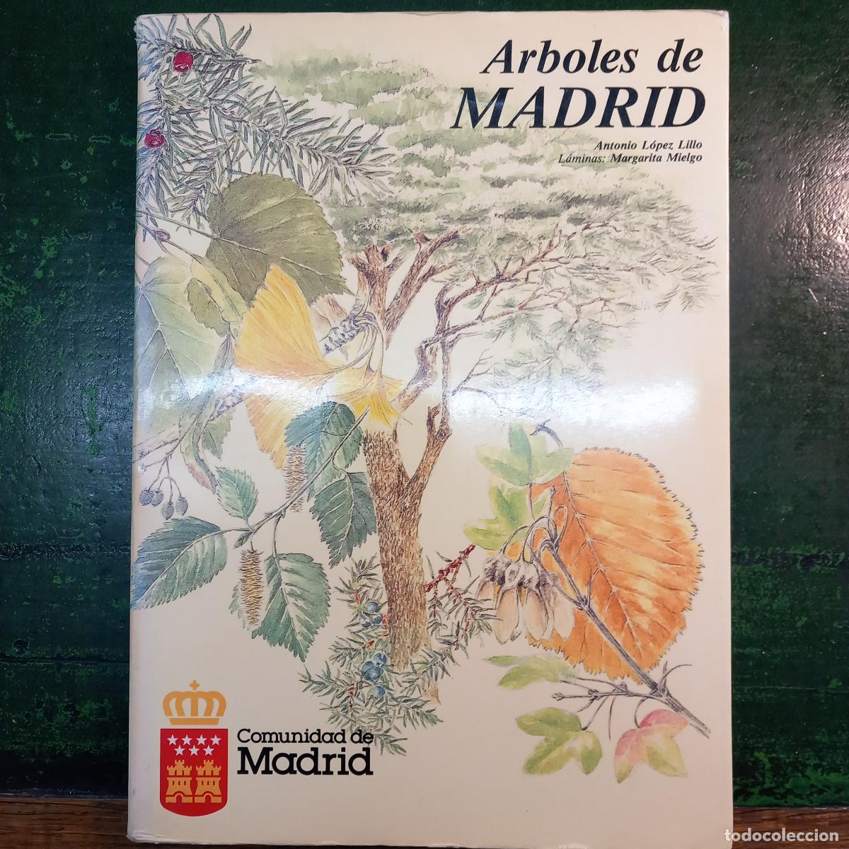 books: ARBOLES DE MADRID - LOPEZ LILLO, ANTONIO