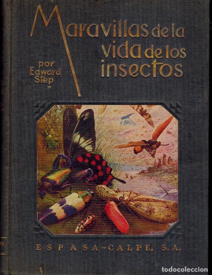 Libros: MARAVILLAS DE LA VIDA DE LOS INSECTOS - Foto 1