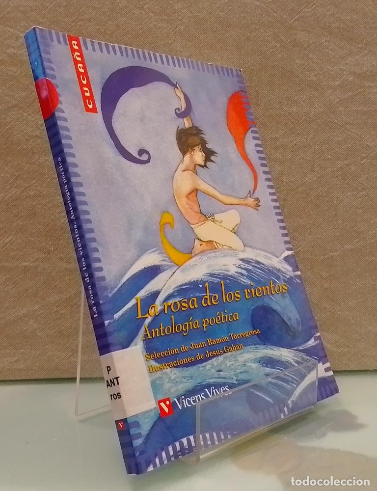 Libros: La rosa de los vientos. Antolog&iacute;a po&eacute;tica - vvaa