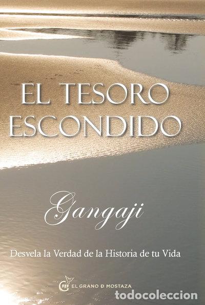 Libros: El tesoro escondido- 9788493931193