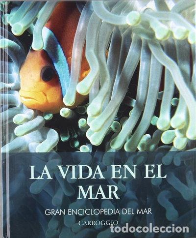 Livres: La vida en el mar- 9788472549593