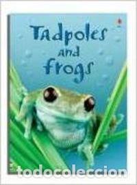 Libri di seconda mano: Tadpoles and frogs- 9780746074558