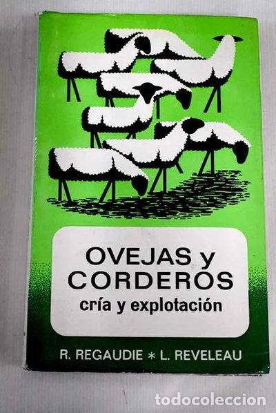 Libros: Ovejas y corderos- 9788471140401 - Foto 1
