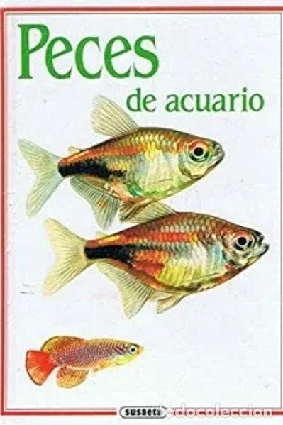 Libros: Peces de acuario- 9788430575435 - Foto 1