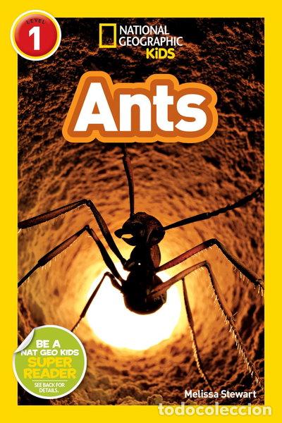 Libros: Ants (9781426306082) - Foto 1
